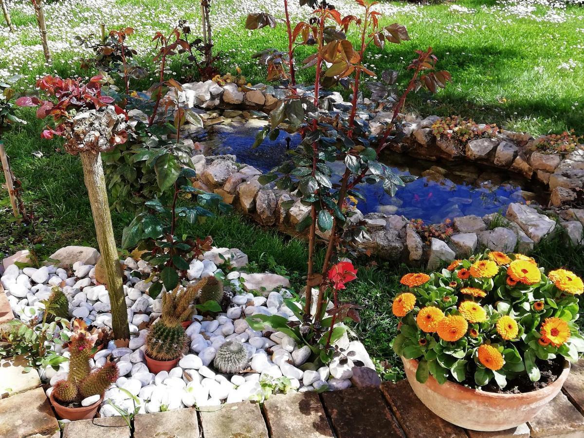 B&B La Ginestra Sirolo Exterior foto