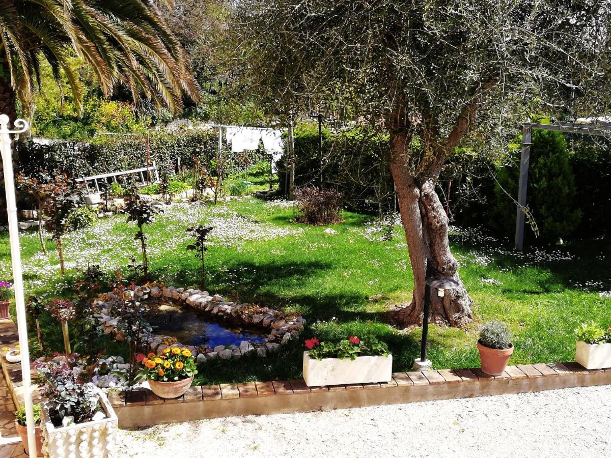 B&B La Ginestra Sirolo Exterior foto